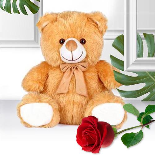 Beautiful Gift of Cute Teddy with Single Rose