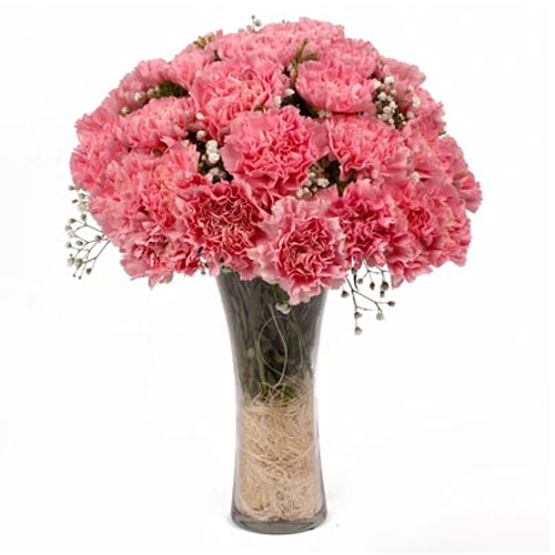 Bright Pink Carnations in a Vase