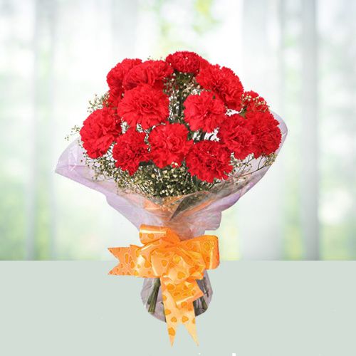 Mind Blowing Red Carnations Bouquet
