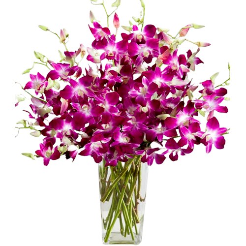 Graceful Purple Orchids in Glass Vase