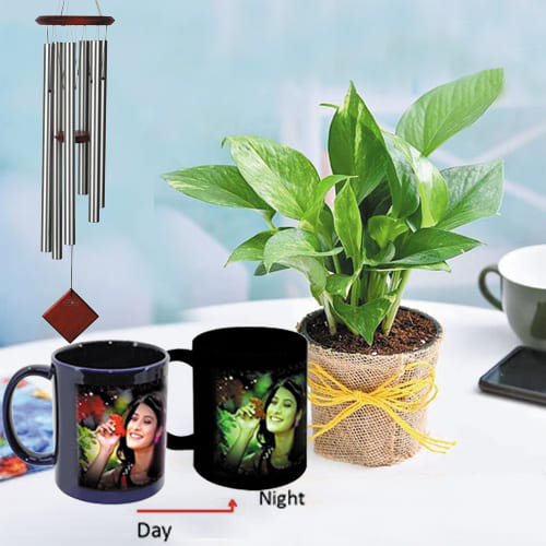 Impressive Personalized Photo Radium Mug with Money Plant N Wind Chime