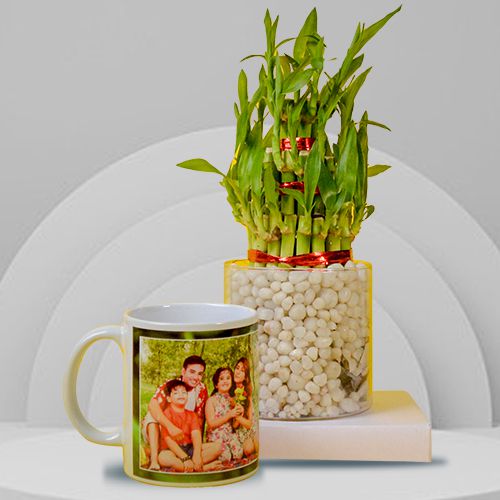 Wonderful 3 Tier Bamboo Plant with Personalized Coffee Mug