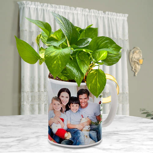Lucky Money Plant in Personalized Coffee Mug for Mom