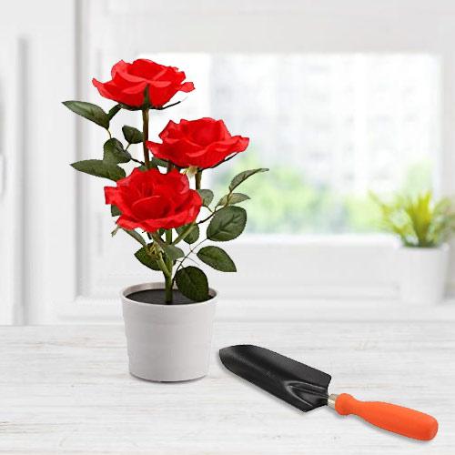 Botanical Selection of Red Rose Plant with Small Trowel